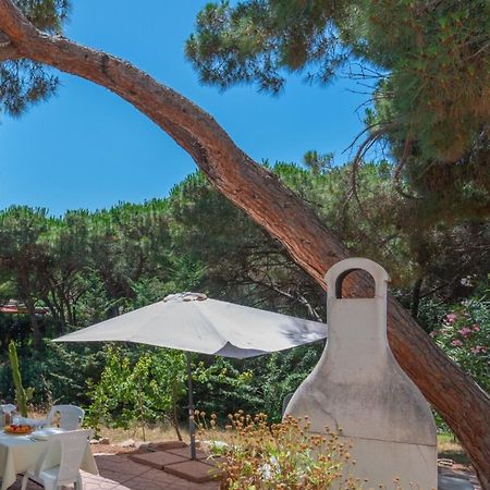 Apartment Alloggio B By Interhome Valledoria  Bagian luar foto